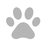 Pfote