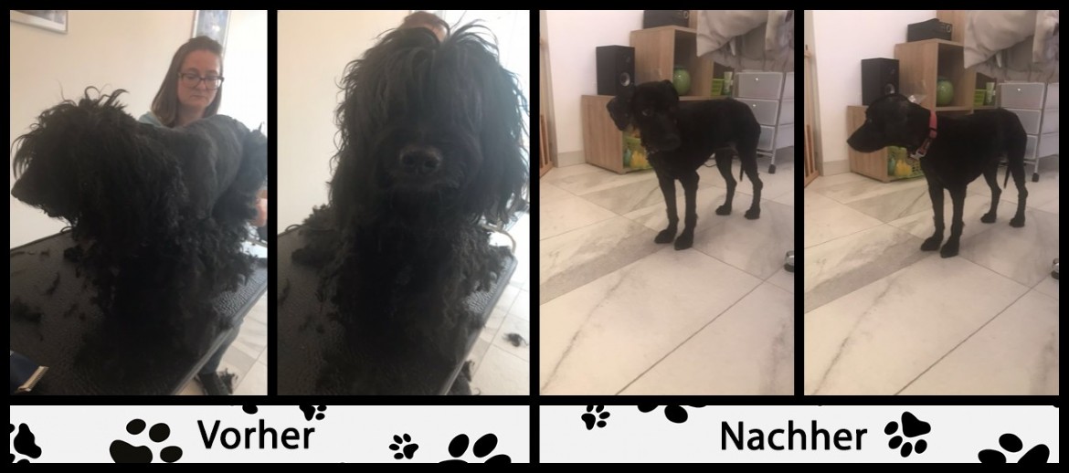 vorher / nachher