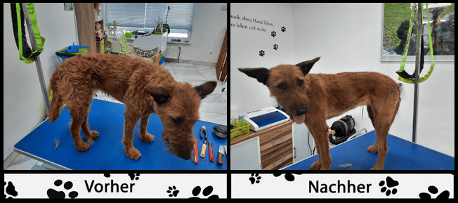 vorher / nachher